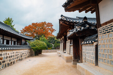 Korean traditional house with autumn maple leaves at Namsangol Hanok Village in Seoul, Korea