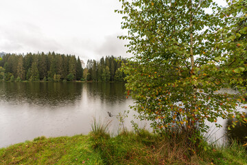 Rundweg am Schwarzsee bei Kitzbühel in Tirol bei Regen und Wolken