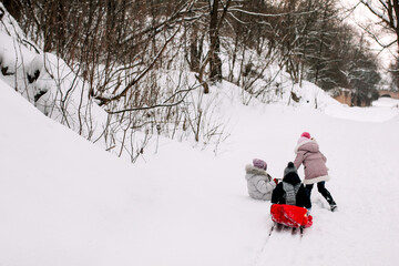 Kids walking in winter park