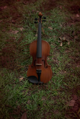 Violin put on green grass ground floor,blurry light around,show detail of acoustic instrument,vintage and art tone