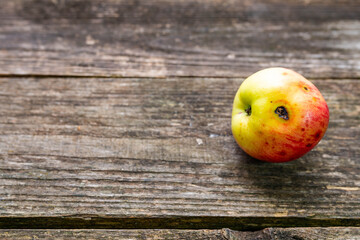 Sick home growth riped apple on aged weathered pine wood boards, space for text.