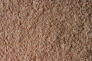 a brown rice background texture on plywood