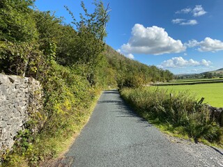 Looking along a country lane, with trees, bushes, fields and trees near, Hawkswick, Skipton, UK