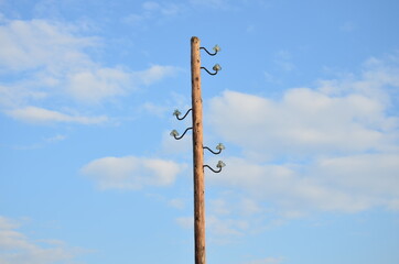 Electric pole