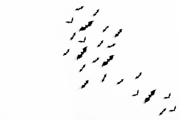 Flying bats group isolated on white background.  Halloween symbols.