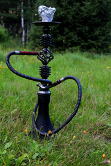 Fototapeta na wymiar Brown and green wooden hookah stands in forest near a tree on the grass. Travel and concept for hookah in nature.