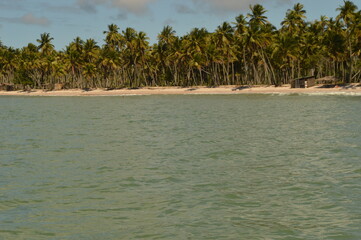 The perfect paradise beaches of Ilha Boipeba and Morro do Sao Paolo islands in Brazil