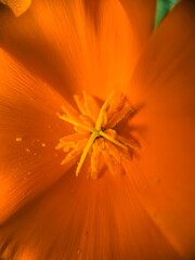 Garten-Impression © Matthias