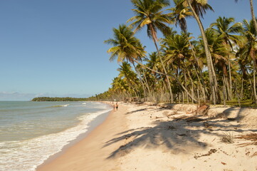 The perfect paradise beaches of Ilha Boipeba and Morro do Sao Paolo islands in Brazil
