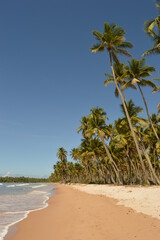 The perfect paradise beaches on island Ilha Boipeba in Brazil