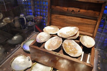 Close view of big shells with pearls inside, all in the big wooden chest 