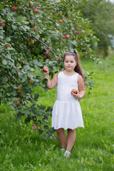 happy little girl with apples in orchard