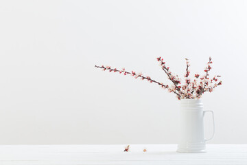 cherry flowers in vase on white background