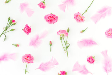 Floral pattern of pink roses flowers and feathers on white background. Flat lay