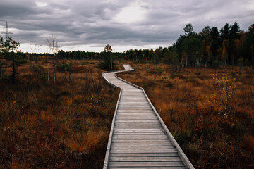 Fototapeta premium Autumn landscape and nature 