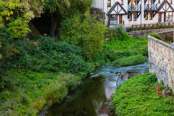 Stream with vegetation and trees and house in the background