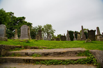 Staircase and old gothic cemetery on mantle of grass
