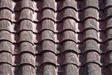 High angle full frame close-up view of a part of an older and weathered tile roof