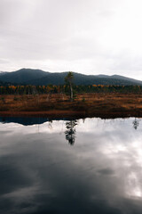 Autumn landscape and nature 