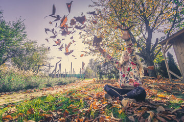 autumnal leaves falling down in magic sunset time