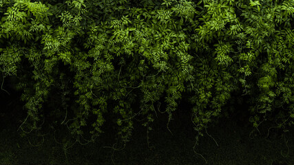 Full background of green leaves and vines cascading down a fence