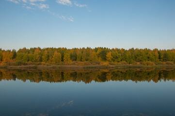 Autumnal lake shore with forest under blue sky. Colorful fall foliage reflecting on surface of calm water.
