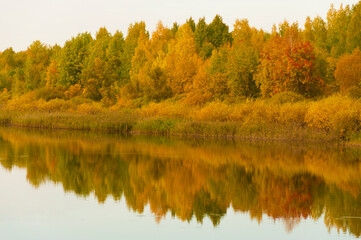 Autumnal lake shore with forest under blue sky. Colorful fall foliage reflecting on surface of calm water.