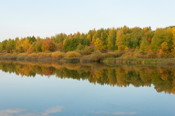 Fototapeta na wymiar Autumnal lake shore with forest under blue sky. Colorful fall foliage reflecting on surface of calm water.