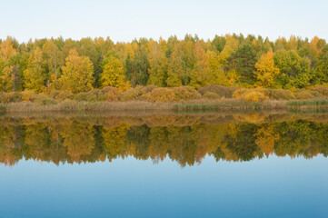 Fototapeta na wymiar Autumnal lake shore with forest under blue sky. Colorful fall foliage reflecting on surface of calm water.