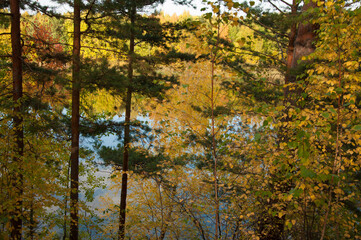 Look through the autumn forest around the lake