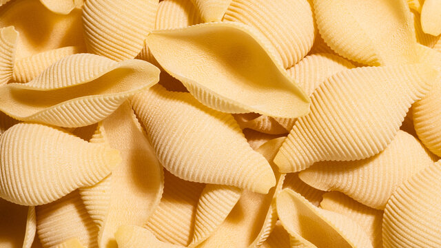 Close up Pasta shells - Conchiglie