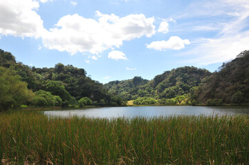 LAGUNA Y ARBOLES