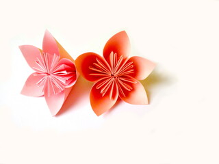 origami flowers on white background