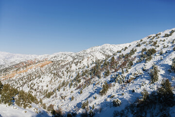 Snow spurs of the Tien Shan in Uzbekistan on a Sunny frosty winter day