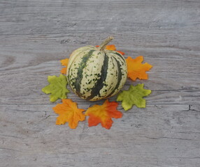 Gourd with Leaves