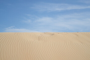 Beautiful beach landscape. Blue sky. Dune. White sand. Horizon. Sunny day. Empty nature. 
