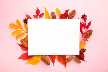 Thanksgiving or autumnal holiday background, top view, copy space. Autumnal holiday composition with leaves, star anise, cone on pink.