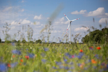 Windrad im Feld, ökostrom