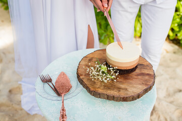 Close up view of couple bride and groom cutting wedding gradient coloured cake on the rustic style wooden stand, Punta Cana, Dominican Republic