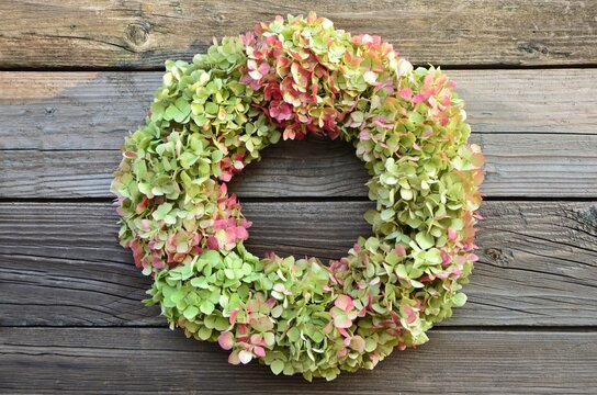 Delightful wreath of hydrangeas on old  wooden background close-up
