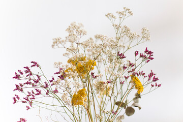 Trockenblumenstrauss vor weißem Hintergrund