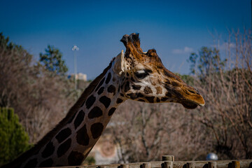 Animales zoo Aquarium Madrid