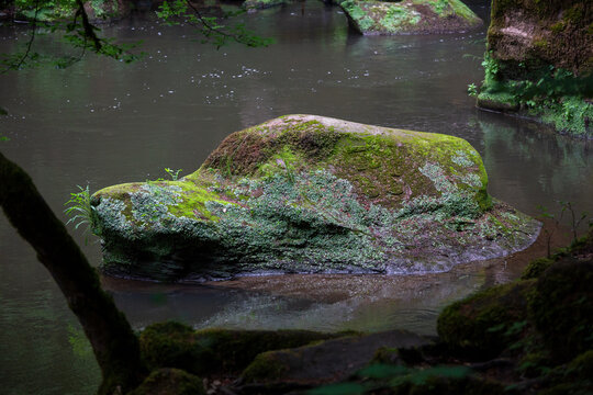 Felsenformation aus Sandstein im Bach in der Teufelsschlucht, Eifel