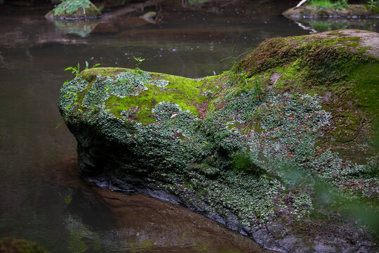 Felsenformation aus Sandstein im Bach in der Teufelsschlucht, Eifel