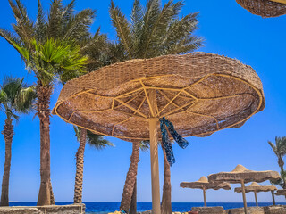 Beautiful sea coast.  Beach by the sea.  Wicker beach umbrellas and wind fences.  Conceptual...