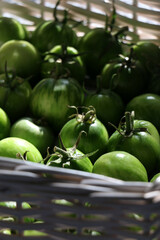 A row of tomatoes on display. unripe tomatoes in the basket. High quality photo