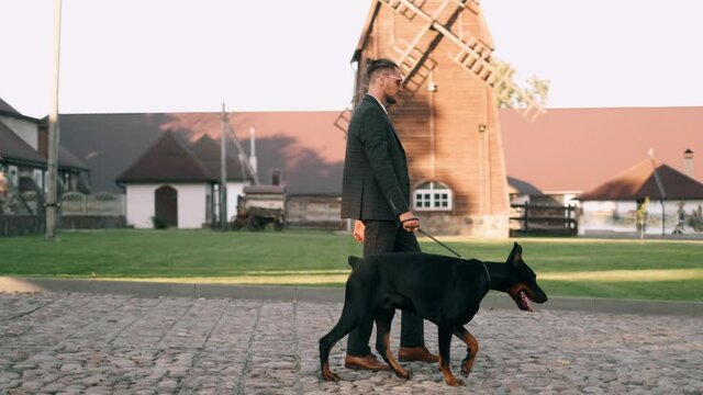 A rich businessman in a business suit walks with a large doberman in the park. Successful bearded boss with a beautiful and healthy dog. Slow motion footage