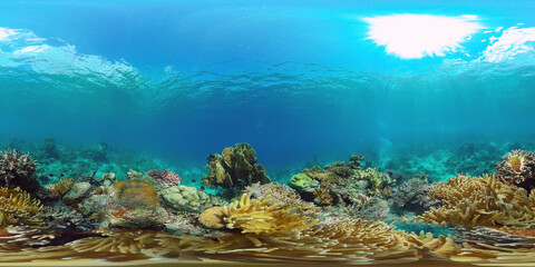 Underwater Scene Coral Reef 360VR. Tropical underwater sea fishes. Virtual tour 360. Panglao, Philippines.