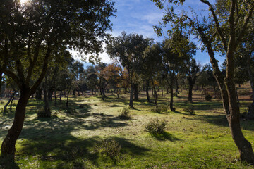 La Dehesa, Salamanca, Spain