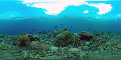 Fototapeta na wymiar Coral reef and tropical fishes. The underwater world of the Philippines. VR 360 Foto.